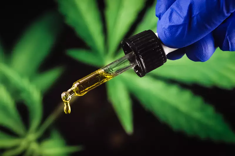 Conselhão critica normas da Anvisa sobre cannabis medicinal como 'limitadas' e 'avanço tímido'