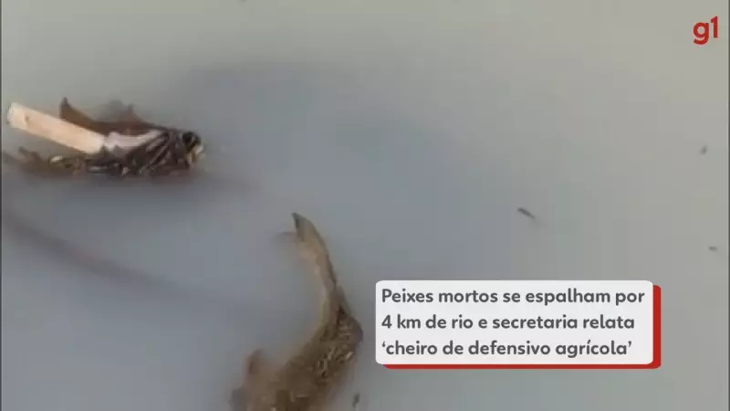 Contaminação no Rio Pinto: centenas de peixes mortos e líquido branco assustam São Miguel do Iguaçu