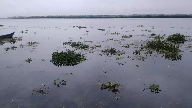 Corpo não identificado é encontrado às margens do Rio São Francisco em Petrolina