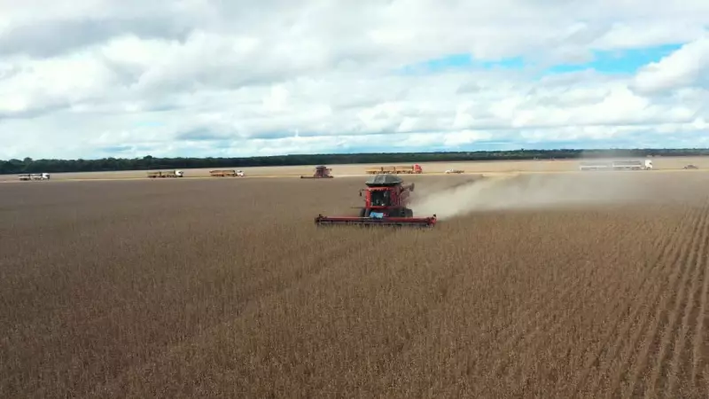 Cotações da soja enfrentam pressão com dólar em queda e expectativa de maior oferta