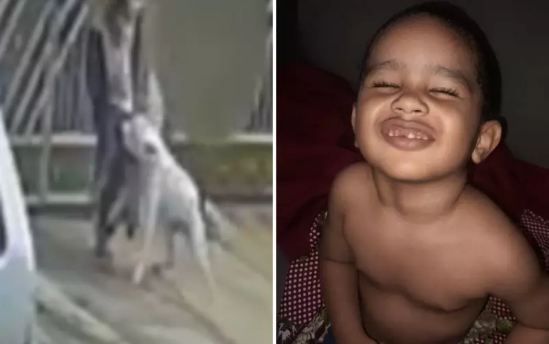 Criança de 2 anos com paralisia é atacada por pit bull em Goiânia; polícia investiga