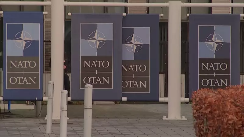 Crise na OTAN: Ameaças de Trump à Groenlândia Abalam Aliança Militar Ocidental