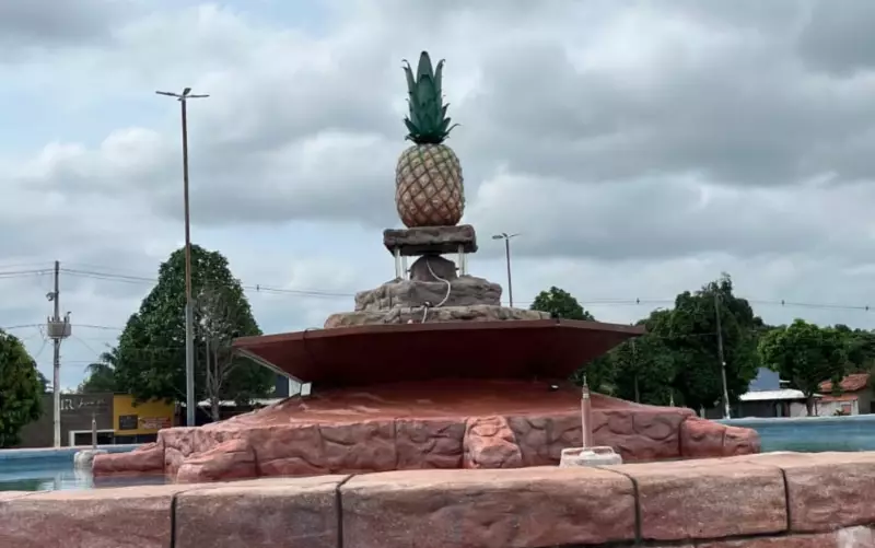 Curiosidades dos nomes de cidades do Tocantins: Ananás, Pugmil e Lagoa da Confusão