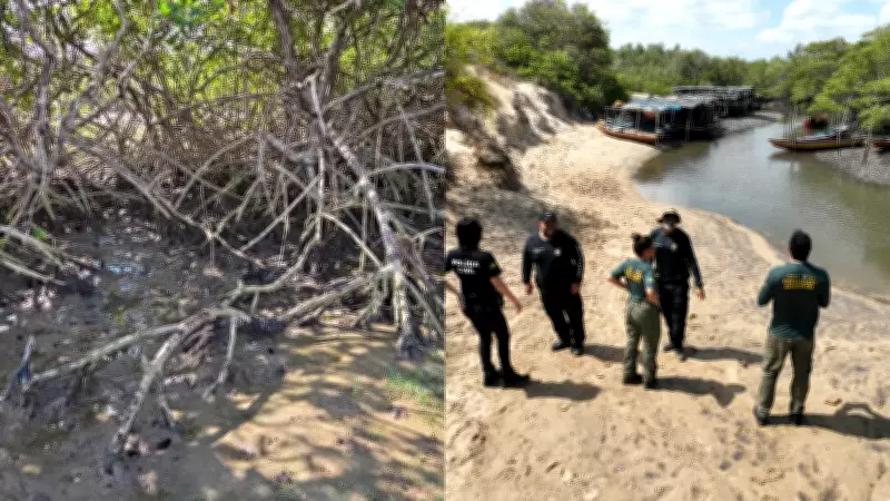 Defeso do Caranguejo-Uçá Inicia no Piauí com Fiscalização Intensificada pela Semarh