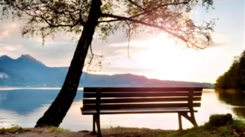 Dia da Saudade: Especialista Explica Como o Luto e as Memórias São Atos de Amor