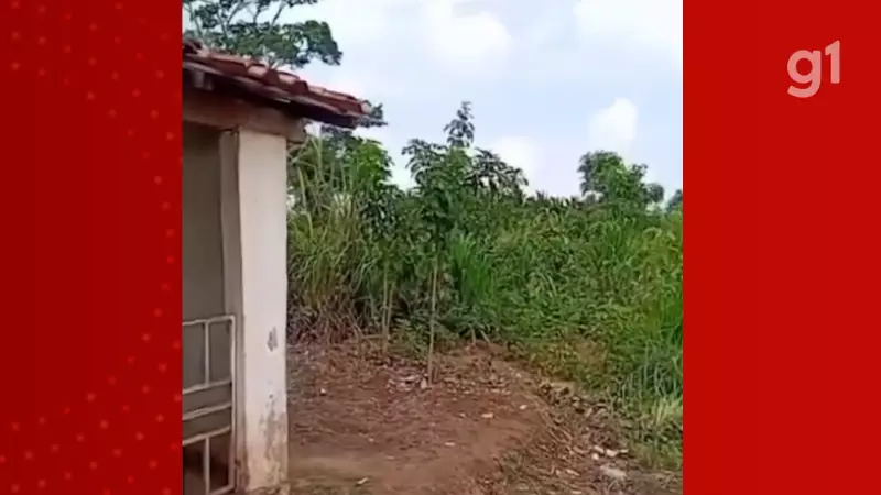 Duplo Homicídio na Zona Rural de Pio XII: Corpos com Tiros na Cabeça