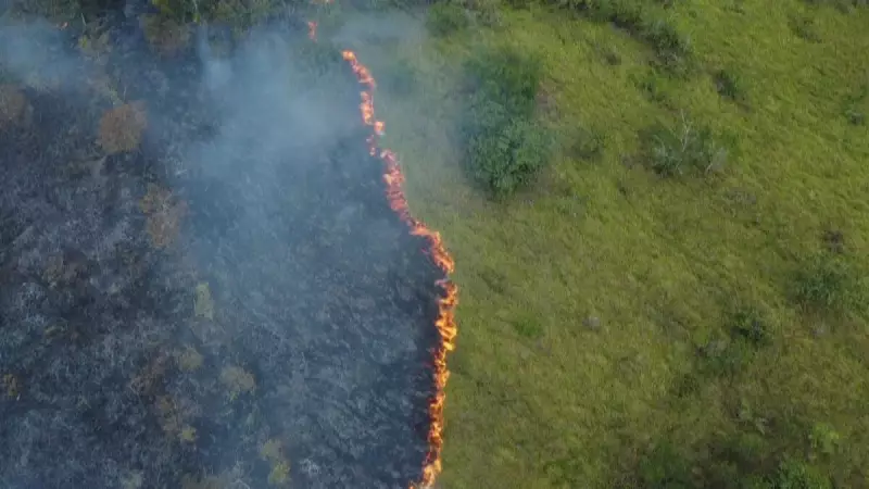 Educação Ambiental: Formando Cidadãos Conscientes desde a Infância