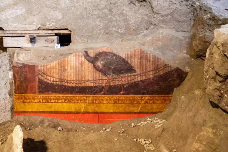 Escavações em Pompeia revelam luxo da elite romana em mansão atribuída a Popeia Sabina