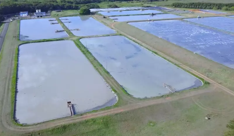 Estação de esgoto de Hortolândia gera mau cheiro há anos; Sabesp promete nova unidade fechada em 2 anos