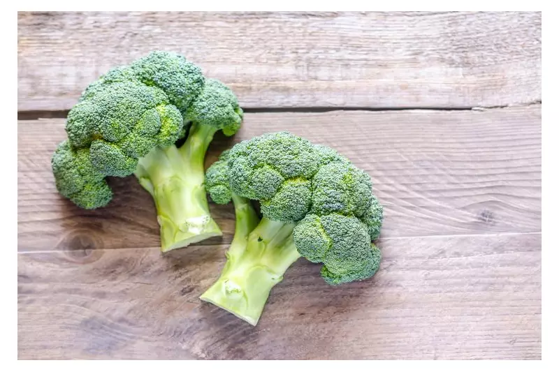 Estudo: Brócolis e vegetais crucíferos reduzem em 13% risco de câncer de mama agressivo