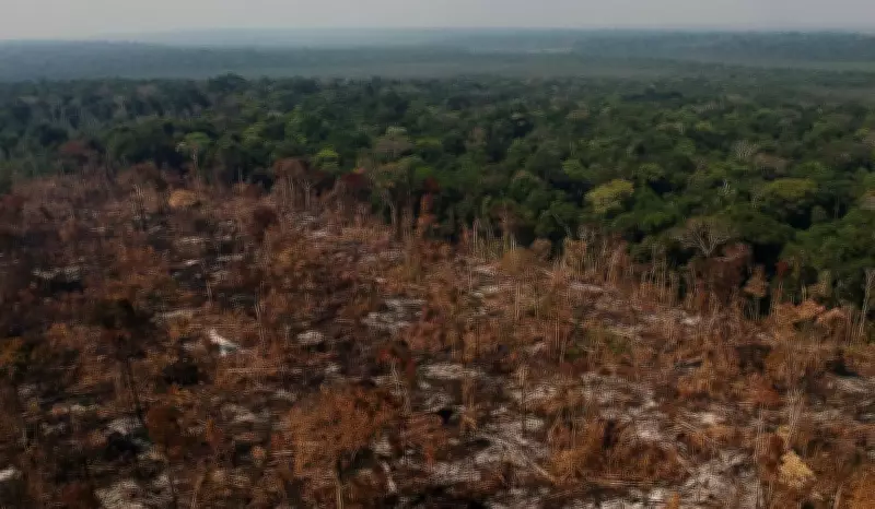 Estudo revela que desmatamento na Amazônia já elevou temperatura em 3°C e reduziu chuvas em 25%
