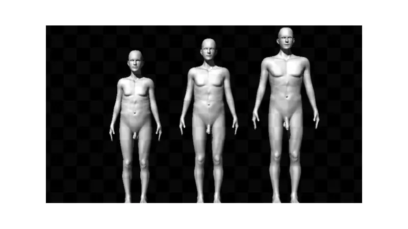 Estudo revela que tamanho do pênis humano evoluiu por atração e competição