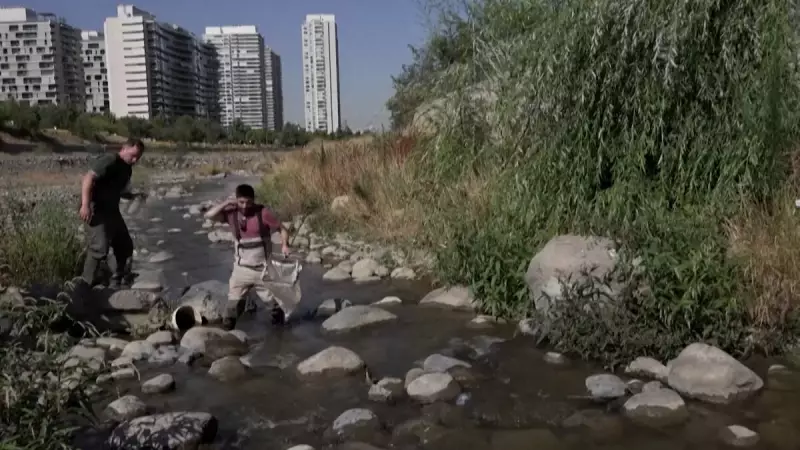 Exemplo para o Tietê? Como o Chile despoluiu o rio Mapocho em Santiago