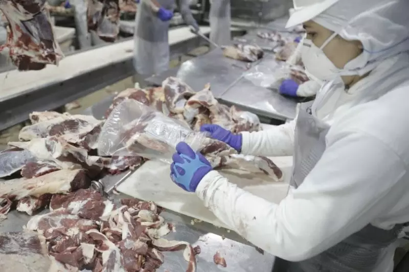 Exportações de carne bovina impulsionam balança comercial do Acre em 2025