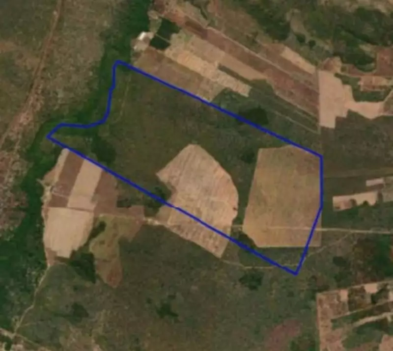 Fazenda de 358 hectares no Piauí vai a leilão judicial por R$ 7,2 milhões