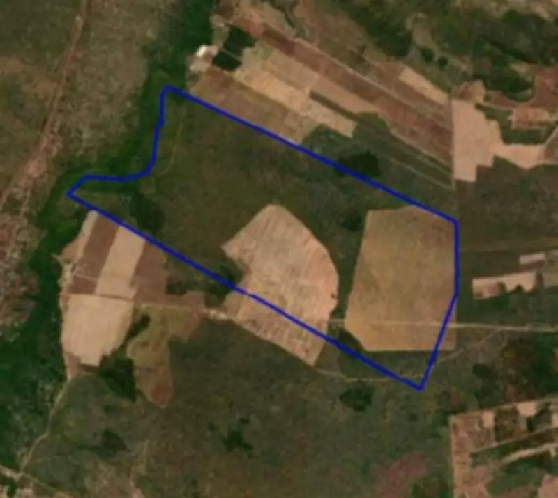 Fazenda de 360 hectares no Piauí entra em segunda etapa de leilão com lance mínimo de R$ 3,6 milhões