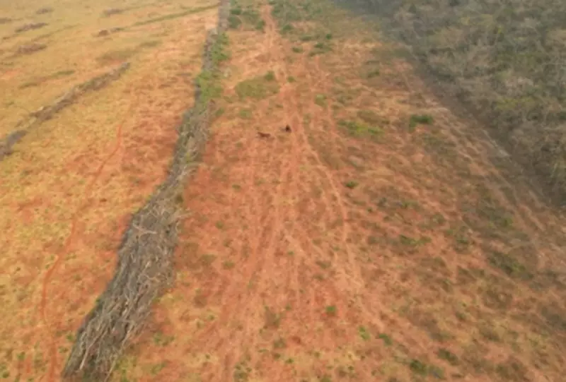Fazendas em Bonito são alvo de inquérito por desmatamento e exploração irregular