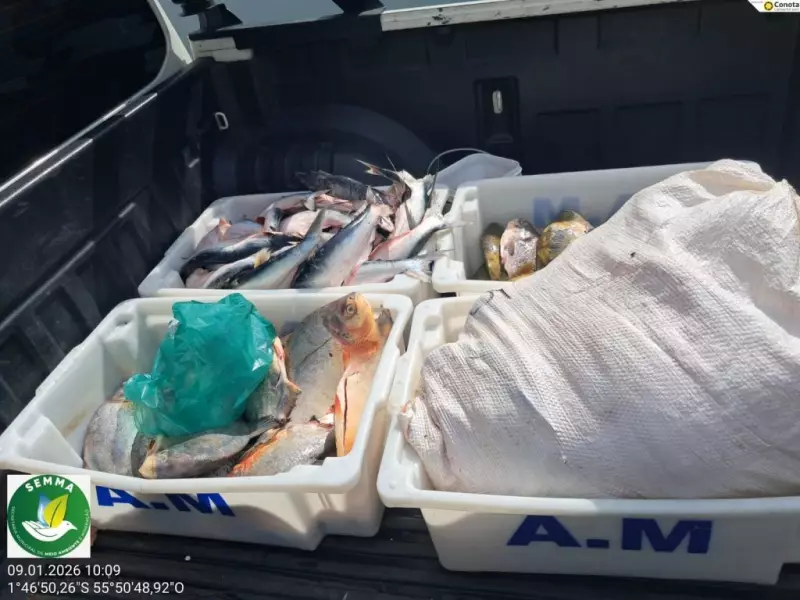 Fiscalização apreende 96 kg de pescado irregular em Oriximiná durante defeso