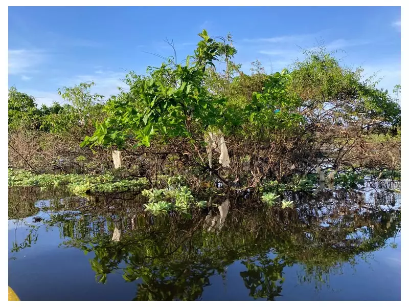 Fiscalização federal zerada: 5 anos sem combate ao plástico nos rios do Amazonas