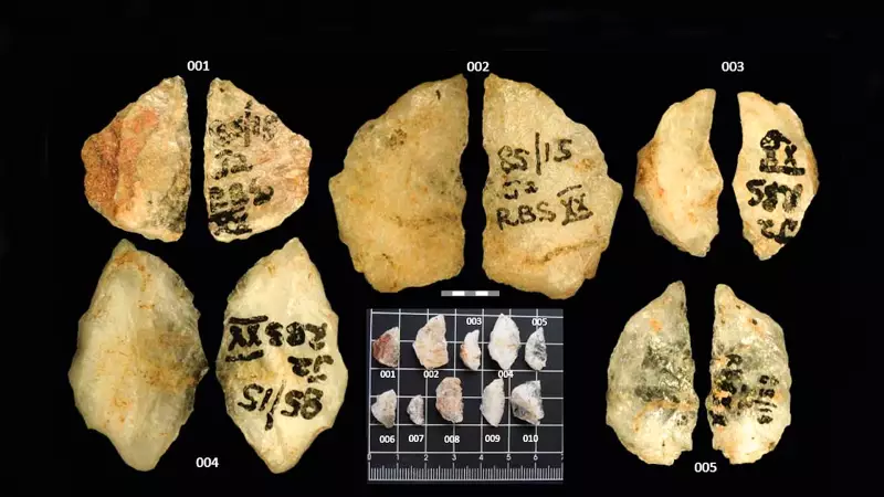 Flechas envenenadas de 60 mil anos revelam primeiras 'guerras químicas' humanas