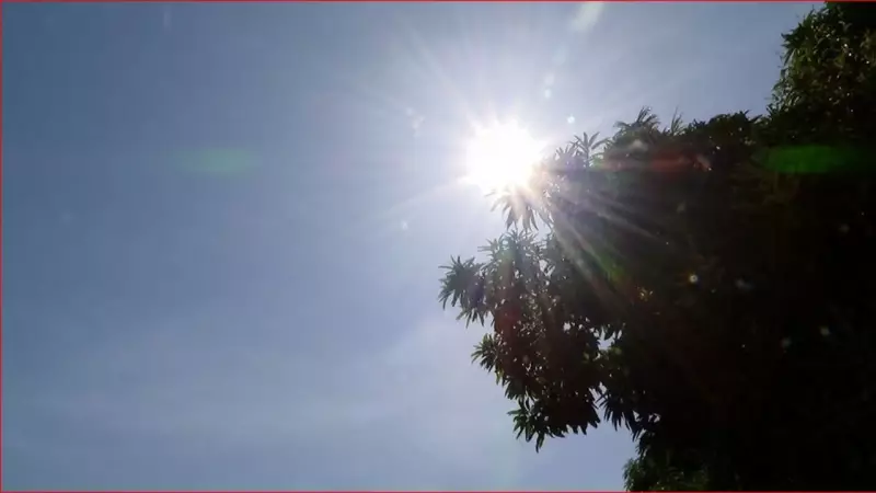 Focos de calor no Amazonas caem 82% em 2025 e atingem menor nível em 23 anos