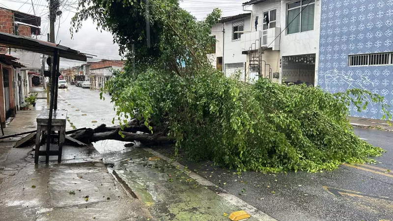 Fortes chuvas castigam Fortaleza: Granja Lisboa registra 109,4 mm e alaga vias