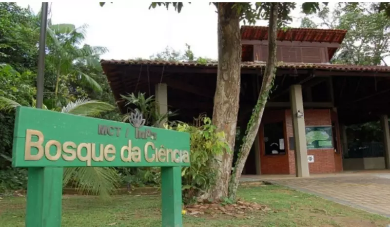 Férias no Bosque do Inpa: 13 dias de atividades gratuitas na floresta