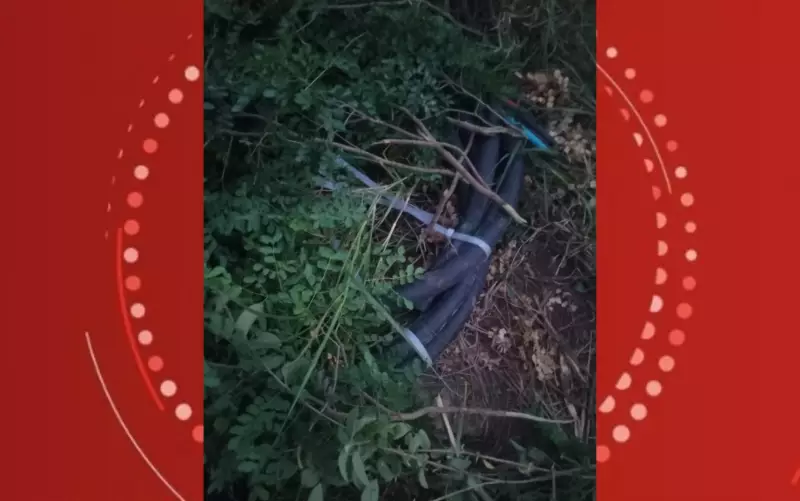 Funcionário de mineradora preso por furtar 30 kg de cobre em Teofilândia, Bahia