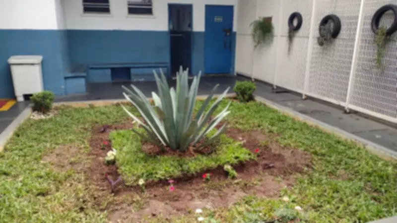 Fundação Casa em Sorocaba: Aulas, Esportes e Apoio Psicológico na Socioeducação