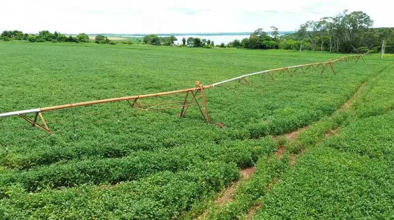Furtos de fios de irrigação assustam produtores rurais em Guaíra (SP)