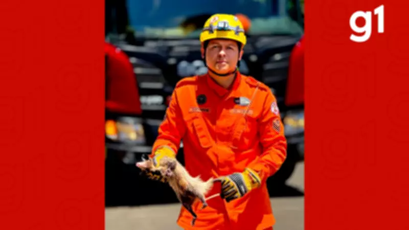 Gambá é resgatado de poste elétrico em Lucas do Rio Verde por bombeiros