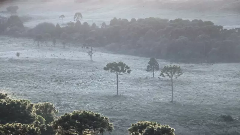 Geada transforma paisagem de São Joaquim (SC) em pleno verão, com temperaturas de inverno