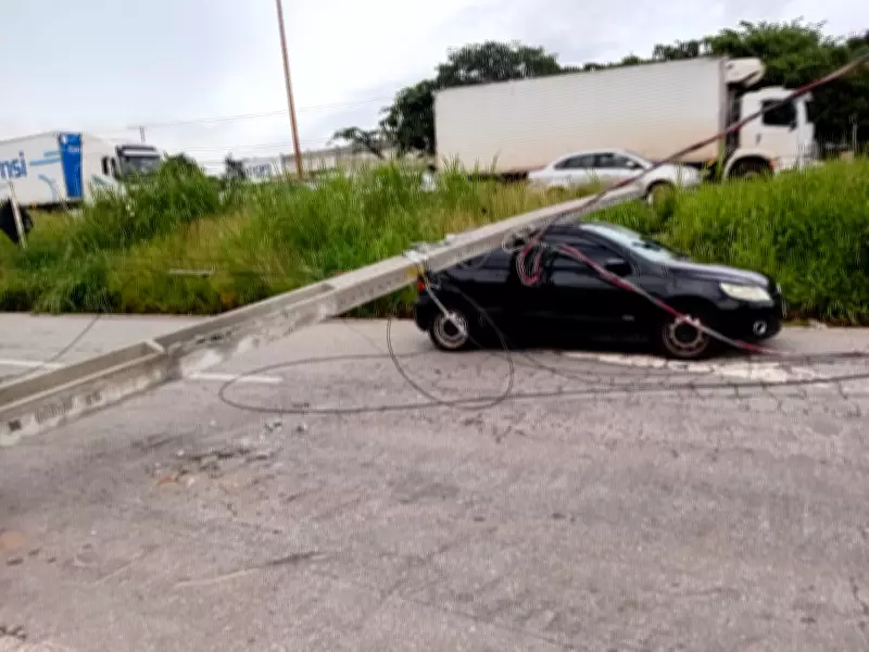 Granizo e temporal causam estragos em BH: árvores caem, alagamentos e risco geológico