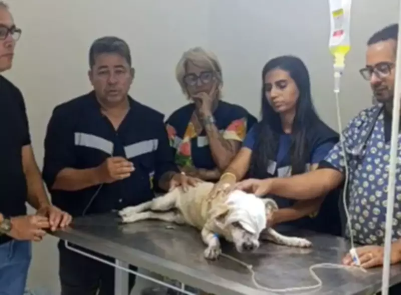Homem é preso após esfaquear e matar cachorro na Barra dos Coqueiros, em Aracaju