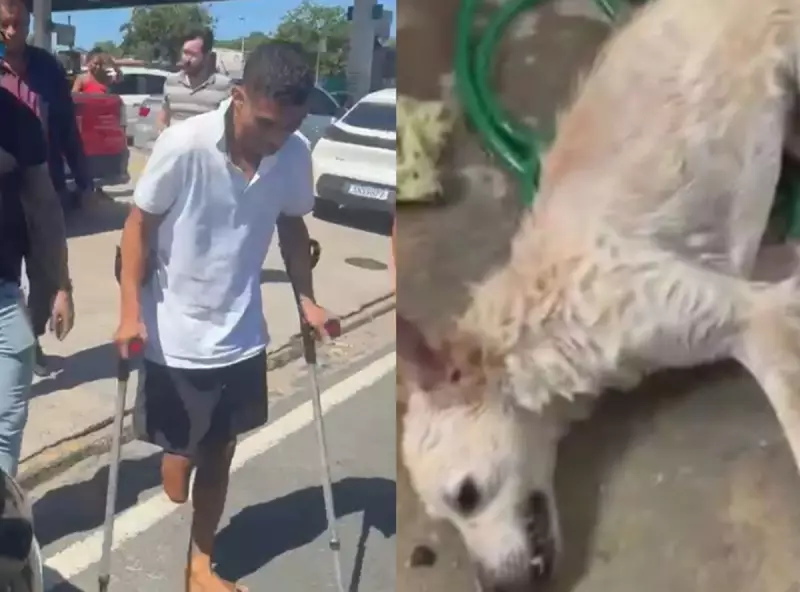 Homem é preso em Olinda após espancar cadela da ex-companheira em caso de violência doméstica