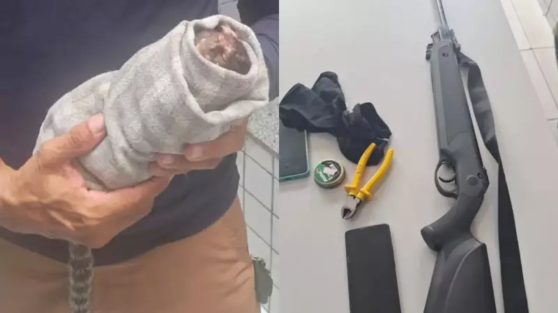 Homem é preso por caça ilegal na Floresta Fóssil de Teresina; sagui ferido morre após resgate