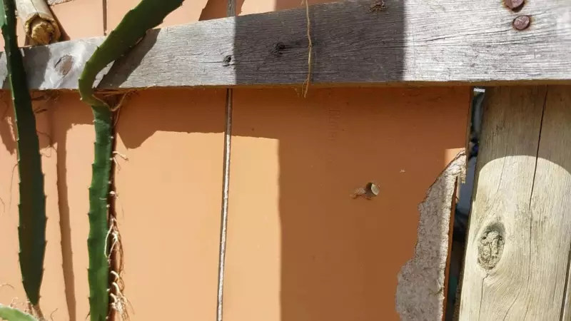 Homem de 31 anos é executado a tiros na Serra após perseguição por ruas