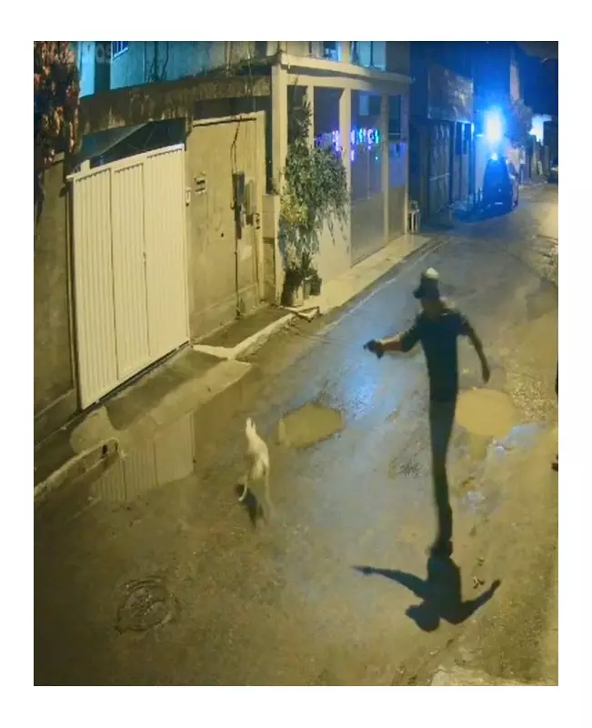 Homem mata cachorro a tiros em Magé após reclamar de latidos