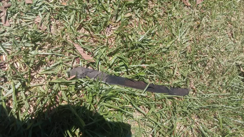 Homem morre após abordagem policial com facão em Viamão, RS