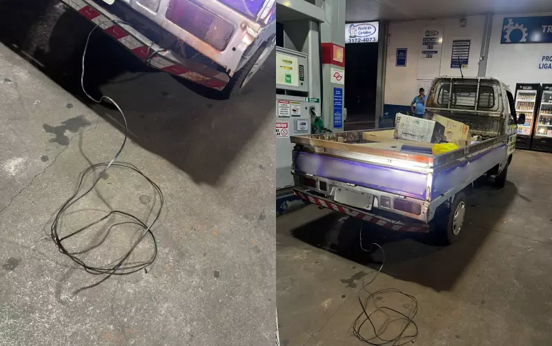 Homem preso após arrastar cadela grávida até a morte em Igarapava, SP