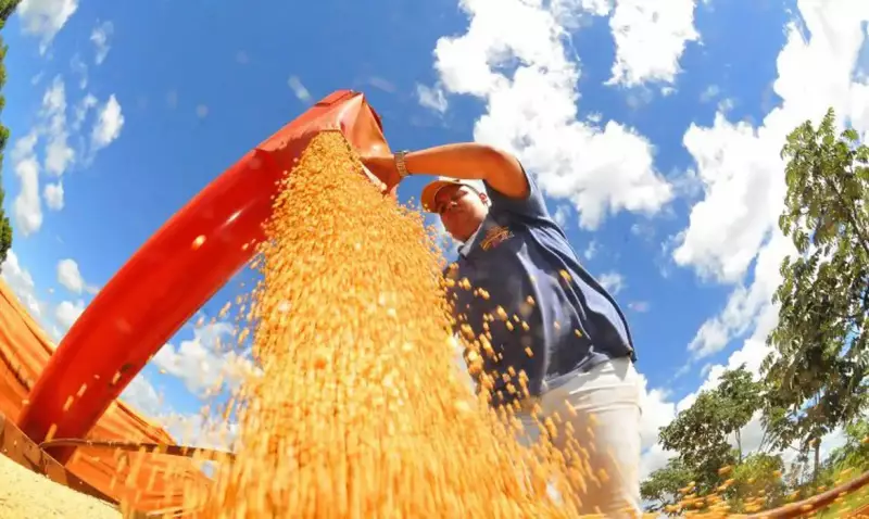 IBGE prevê safra recorde de 346 milhões de toneladas em 2025