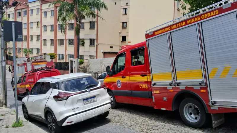 Idosa de 80 anos morre após ataque de abelhas em BH; enxame feriu outras quatro pessoas