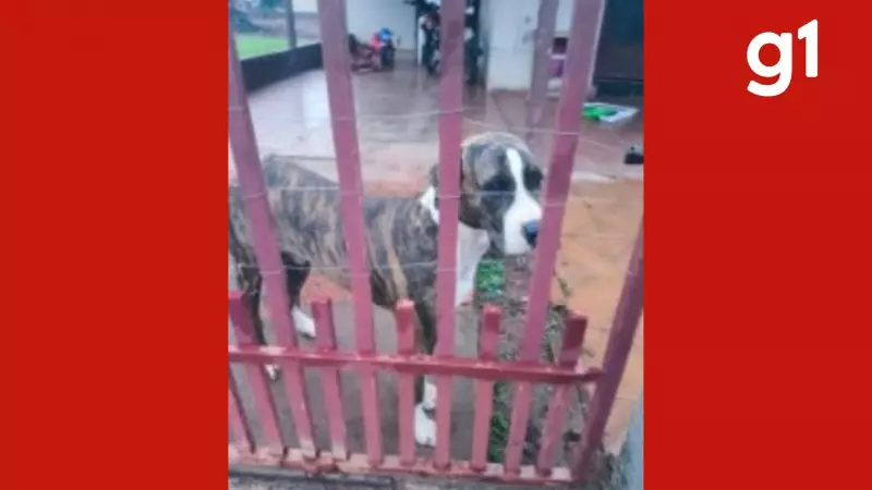 Idoso de 68 anos preso por zoofilia em Nova Guarita após flagrante