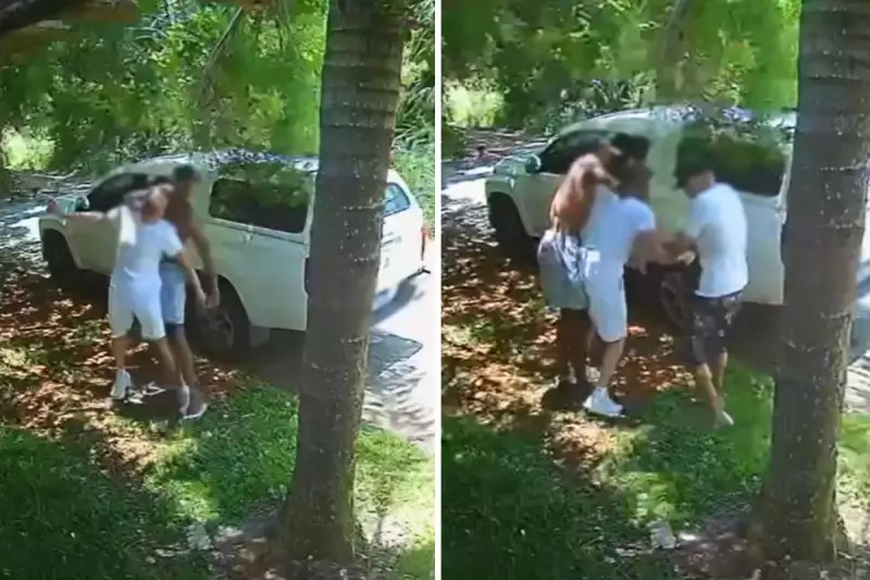 Idoso de 76 anos é agredido e tem carro roubado com cachorro em Peruíbe