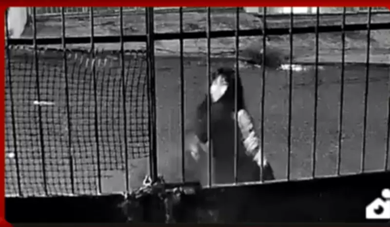 Imagens revelam briga entre vítima e vizinho dias antes de feminicídio em Manaus