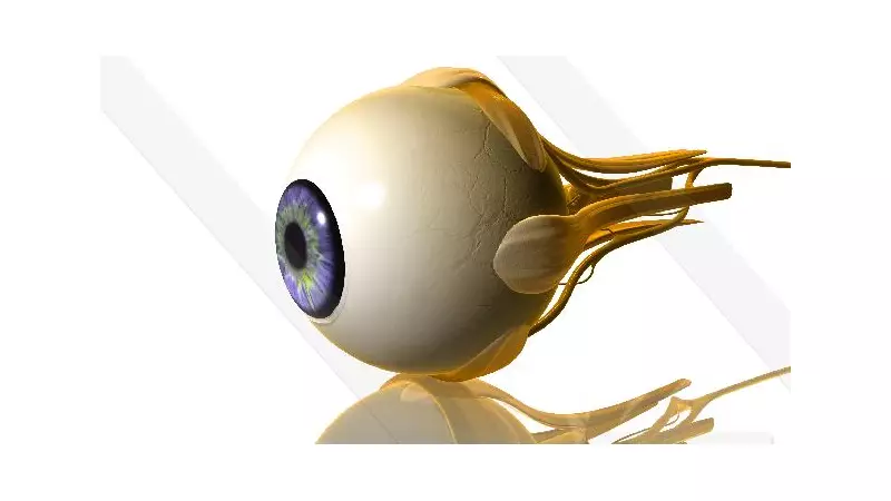 Implante PRIMA: chip de 2mm pode restaurar visão em 2026