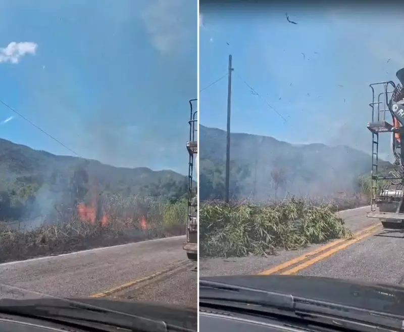 Incêndio em bambuzal interdita RJ-106 em Saquarema nesta quinta-feira