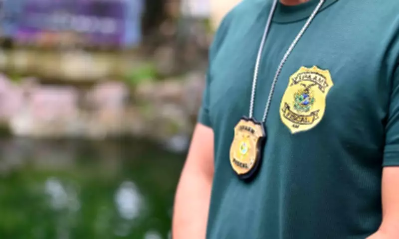 Ipaam encerra inscrições para concurso com 140 vagas e salários de até R$ 11,6 mil no AM