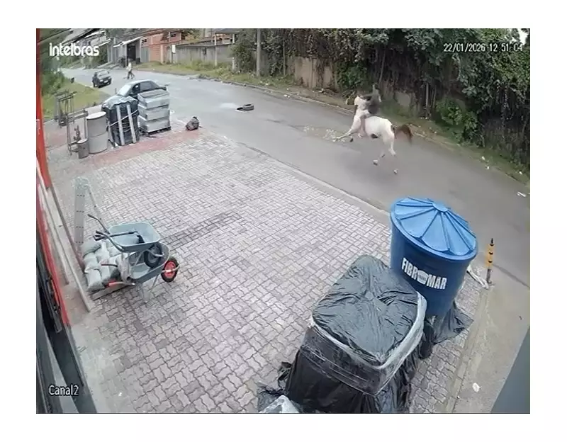 Jovem a cavalo atropela duas idosas em Seropédica; animal desgovernado causa acidente