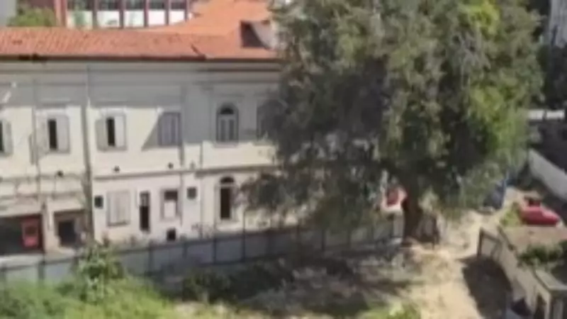 Justiça suspende obra no Flamengo após derrubada de 71 árvores em terreno tombado